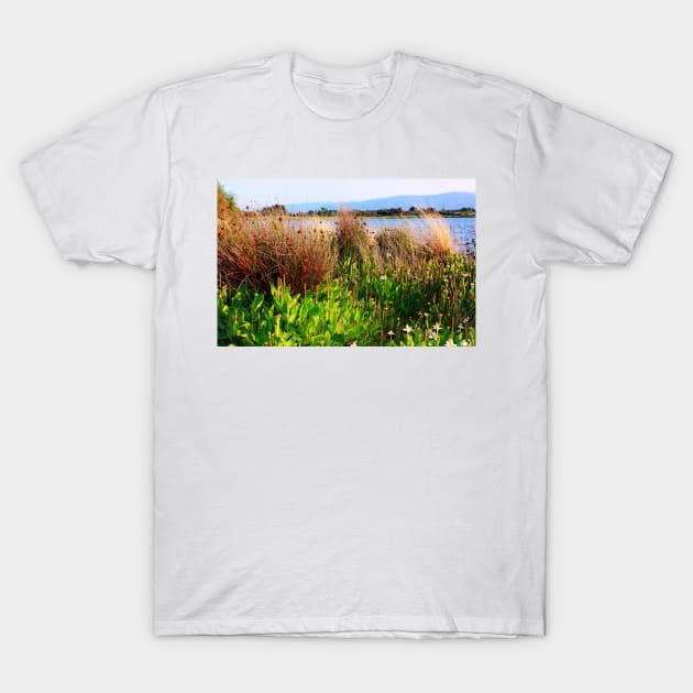 Wild Meadow by the Lake. Shoreline Park 2011 T-Shirt by IgorPozdnyakov